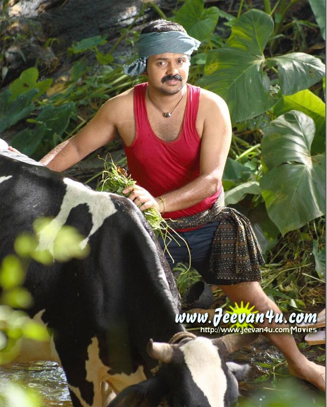 Kunchacko Boban Movie Pictures